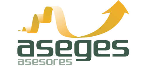 ASEGES ASESORIA